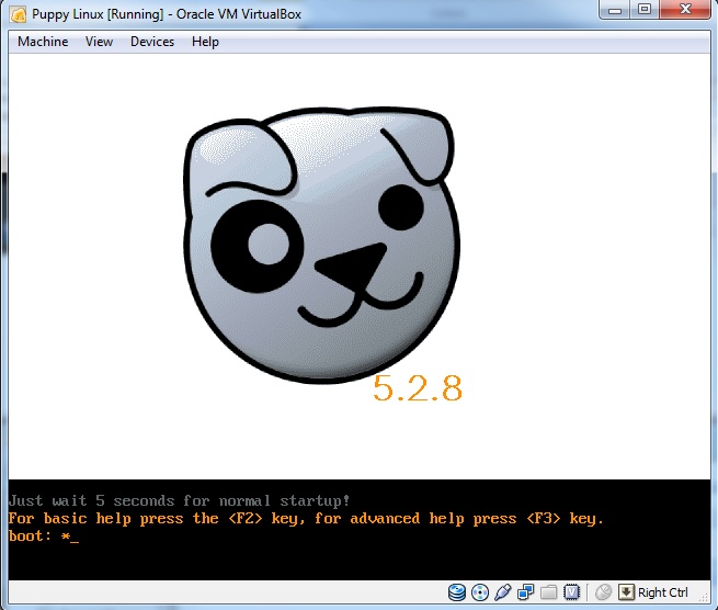 PuppyLinux booting up